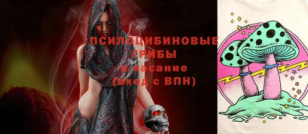 spice Алексин