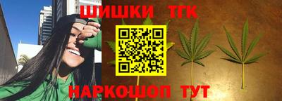 твердый Бийск