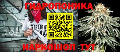 гидра Беслан