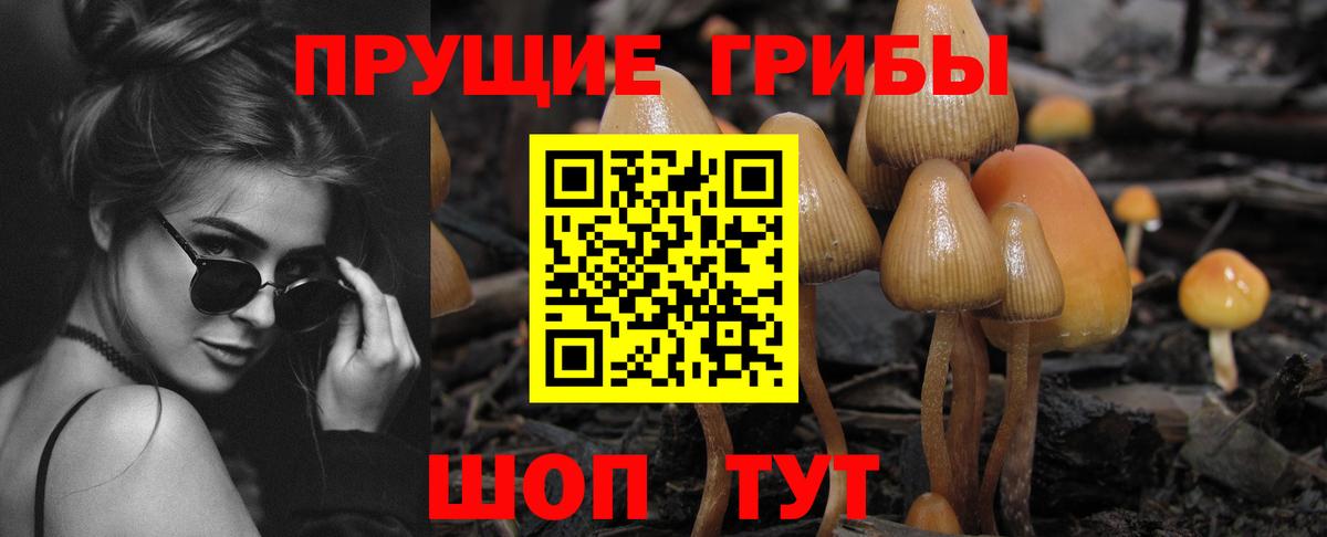 Галлюциногенные грибы мухоморы  Вход с VPN  Ковров  Галлюциногенные грибы ЛСД 